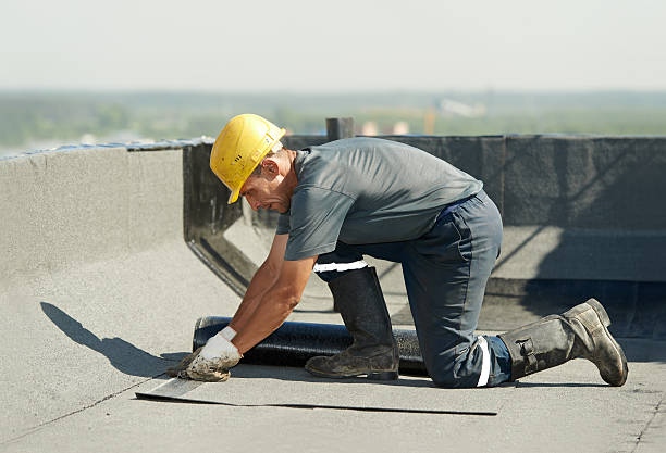 Best Geographic-Specific Insulation Services in Ormond By The Sea, FL