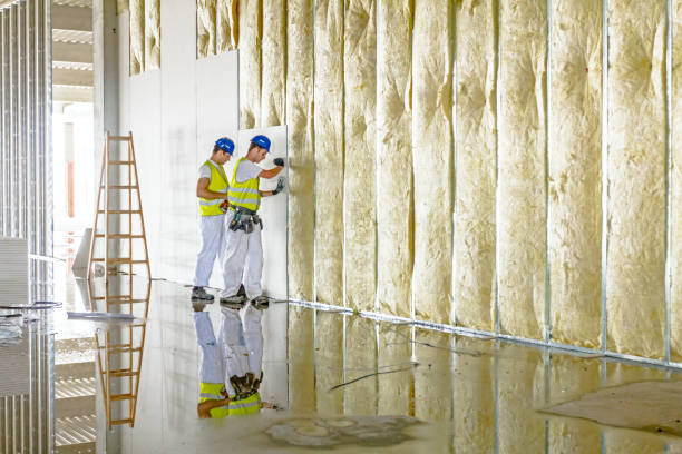 Best Spray Foam Insulation in Ormond By The Sea, FL